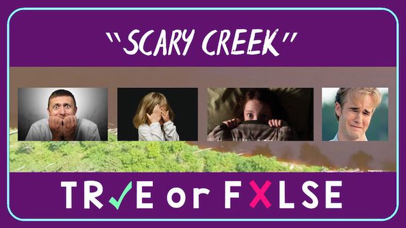 TRUE or FALSE - Freaky City Edition